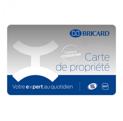 CARTE BRICARD