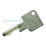 Cl VMI Vachette - Reproduction scurise 