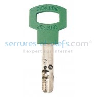Clef Gamma sans mobile CARMINE