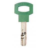 Clef Gamma sans mobile CARMINE
