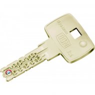 Clef IX10  bille DOM