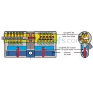 Cylindre radial NT vachette