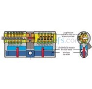 Cylindre radial NT vachette